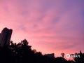 中国天气网讯 27日傍晚，广西来宾出现满天粉色的晚霞，浪漫了整个天空，随着时间的推移和光线的变化，天空的云彩不断地变幻出更多的色彩和画面，描绘出一幅幅绝美的油画。（文/黄丽娜 图/苏庆红 吴泽 李树盼）