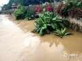 中国天气网广西站讯 受台风残留云系影响，8月20日晚到21日，河池龙江河上游出现大到暴雨，局部大暴雨，导致龙江金城江区河段水位快速上涨。据水文部门监测，8月22日3时10分金城江水文站出现189.16米的洪峰水位（警戒水位：188.00米），超警戒水位1.16米，为3年一遇洪水。受其影响，河池金城江区农贸市场、市供水处抽水房附近等临江低洼区域被水浸泡。22日上午8时水位已出峰回落。图为：金城江城区沿江低洼地带被淹（图/何振伟 文/陈丽娜）