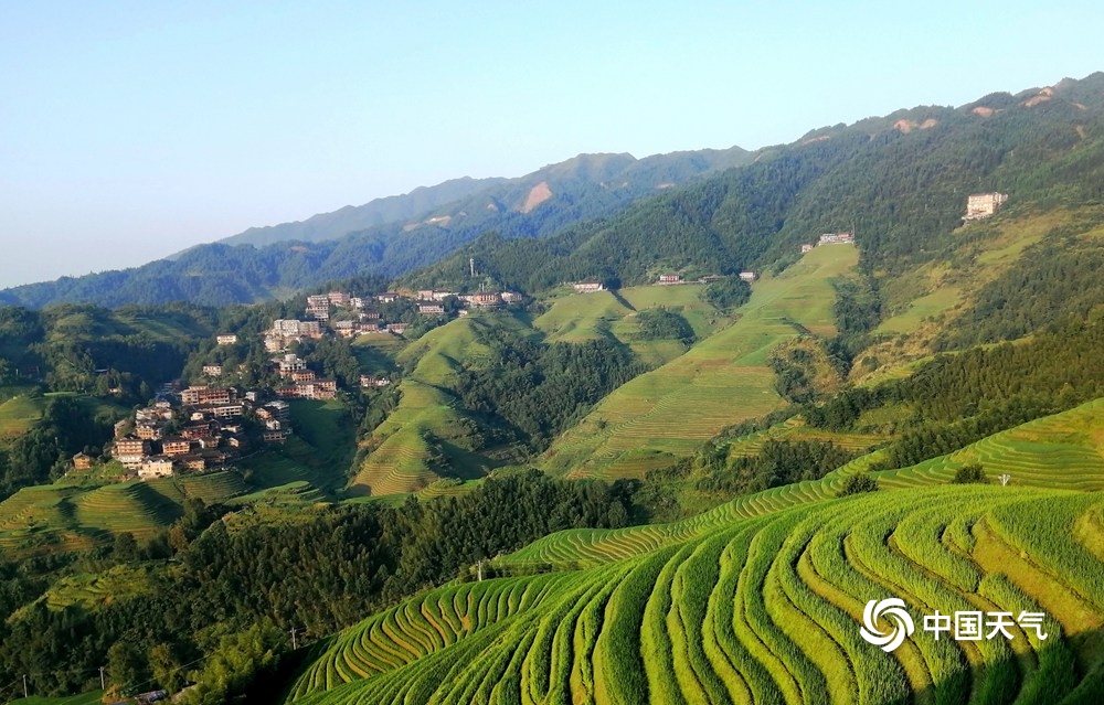 广西桂林:龙脊梯田绿意盎然 盛夏景色优美