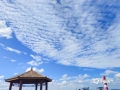 中国天气网广西站讯 10月21日，河池金城江区东江镇和大任工业园区上空出现大面积“鱼鳞云”，白白的云朵在蓝天的映衬下，蔚为壮观。（图/杨永杰  文/欧春苗）