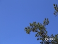 中国天气网广西站讯 11月12日，防城港上思县秋高气爽，山野风光和蓝天组成了一幅幅美丽的画卷。（图文/黄伟芬）