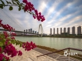 中国天气网广西站讯 今晨“斑马纹”状的天空扮靓邕城，坐标青山大桥北。（图/老曾）