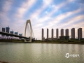 中国天气网广西站讯 今晨“斑马纹”状的天空扮靓邕城，坐标青山大桥北。（图/老曾）