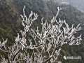 12月1日，桂林猫儿山景区迎来了今年的第一场雾凇。