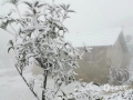 图为12月15日，融水同练乡村庄里的房屋、树木上结了一层冰雪，彷若北国。（图/韦能）