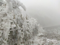 中国天气网广西站讯 12月19日，受冷空气持续影响，位于桂林市全州县海拔1680米高度的天湖景区天气寒冷，漫山遍野的银装素裹，雾凇成林，俨然一派北国景象。（图文/张宇）