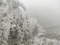 中國天氣網(wǎng)廣西站訊 12月19日，受冷空氣持續(xù)影響，位于桂林市全州縣海拔1680米高度的天湖景區(qū)天氣寒冷，漫山遍野的銀裝素裹，霧凇成林，儼然一派北國景象。（圖文/張宇）