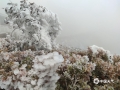 12月19日，受冷空气持续影响，位于桂林市全州县海拔1680米高度的天湖景区天气寒冷，漫山遍野的银装素裹，雾凇成林，俨然一派北国景象。（图文/张宇）