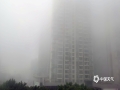 中国天气网广西站讯 1月22日，整个北海被大雾笼罩，整个城市显得灰雾蒙蒙。路上大小车辆蠕动爬行，海上渔船若隐若现，刚刚露出的太阳又被大雾蒙盖，此次大雾给人们的生活和出行带来不便。（图文/彭定宇）