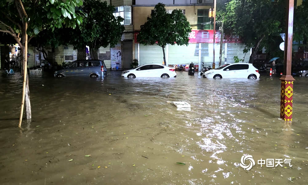 崇左遭狂风暴雨袭击树木倒塌道路积水成河