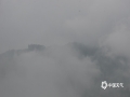 今天（7日）早晨，一场春雨过后，因空气湿度较大，夜间气温较低，百色市隆林县新州镇的寒山、弄桑、么窝等高海拔山区出现了大雾天气，最低能见度仅200米左右，山坳水汽充足的地方能见度更低。山区大雾的出现给驾车出行带来了不利影响。（图文/尹华军）
