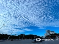 中国天气网广西站讯 昨天南宁晴空万里，朵朵白云铺满蓝天，煞是好看！（摄影/刘英轶）