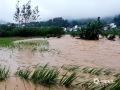 8月14日凌晨，广西百色市凌云县普降暴雨，局部大暴雨。暴雨来袭，当地河水暴涨，河道沿岸部分民房和农田都遭受不同程度的洪涝灾害。（图文/祝明稳）