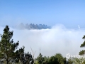 今天（26日）早晨，环江出现平流雾美景，整个县城均被雾气所笼罩着。从高处俯瞰，宛如仙境，美不胜收。据环江县气象台预计，未来三天，环江以晴好天气为主，早晚气温较低需注意保暖。（图文/梁丽娜）