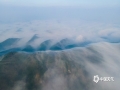 1月4日，广西横州市的早晨，迎来2022年首场大雾。群山、高楼破雾而出，耸立于雾海之中，如梦如幻，如诗如画，美轮美奂。（图/马彪 文/黄庆平）