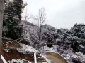 中國天氣網(wǎng)訊 今天，百色樂業(yè)草王山、大石圍變成冰雪的世界。 （文圖/陸承相 劉任萍）