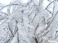 中国天气网广西站讯 受冷空气影响，2月2日，桂林兴安源江出现雾凇雨凇景观，树木、野草等植物被冰雪包裹成“冰条”，又被寒风“雕刻”成一件件大自然的艺术品，令人叹为观止。（文/胡静 图/冯苏兰）