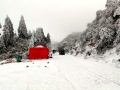 中国天气网讯 2月22日，广西资源县隘门界雪景和雾凇齐至。冰天雪地，道路宛若铺上白色的地毯，举目皆是凝霜挂雪的树枝，俨然一派北国景象。(图文/张宇）
