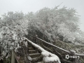 中國(guó)天氣網(wǎng)廣西站訊  受持續(xù)低溫陰雨天氣影響，2月22日，東蘭縣三石鎮(zhèn)神仙山出現(xiàn)雨凇景觀。千枝萬葉鍍滿厚厚的冰層，如琥珀般晶瑩透亮。（文/覃宏宇 圖/韋柳佳）