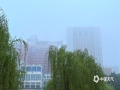 3月25日清晨，南宁出现浓雾天气，局地能见度小于200米，给交通出行带来一定影响。图为南宁城区大雾弥漫。（图文/刘英轶）