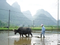 中國(guó)天氣網(wǎng)廣西站訊 4月13日一場(chǎng)春雨過(guò)后，萬(wàn)物復(fù)蘇，空氣格外清新，廣西羅城縣的農(nóng)民朋友抓住有利時(shí)機(jī)及時(shí)開(kāi)展春耕、春播等各項(xiàng)農(nóng)事活動(dòng)，田間地頭處處一派忙碌的景象。（文/謝翰學(xué) 圖/蒙澤）