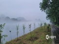 中國(guó)天氣網(wǎng)廣西站訊 受暖濕氣流影響，5月26日桂林雨霧縈繞，再現(xiàn)漓江煙雨的美景。雨幕似輕紗籠罩江上，如同水墨畫一般，如夢(mèng)似幻宛如仙境，美出了新高度。（文/黎微微 圖/陽薇）