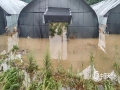 中国天气网广西站讯 自6月3日以来，桂林多地出现强降雨天气，灾情频发。监测显示，6月3日至今天（5日），灵川县辖区内普降暴雨。多个乡镇出现洪水倒灌、河道猛涨、农田被淹、乡道被洪水冲毁等灾害。桂林市气象台也于5日01时05分更新发布暴雨红色预警信号，持续的强降雨导致桂林市区大风山等多路段积水，交通受阻。（图/彭文婧 林政 文/彭文婧 邓苏花雨 ）