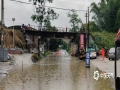 6月3日凌晨至5日早上，河池环江毛南族自治县出现持续性强降雨天气。受强降雨影响，当地低洼路段大量积水，多处漫水桥被淹，农田被水淹。（图文/梁丽娜）