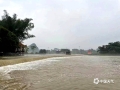 中國天氣網廣西站訊  近日，受強降雨影響，融水良寨由于河水上漲，部分公路和低洼處被淹 （圖/李嗣標 ）