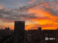 中国天气网广西站讯 7月10日傍晚，南宁市出现绚丽的晚霞，晚霞染红了半边天空，与城市建筑相映成景，宛如一幅绝美的油画。（图文/周玉）
