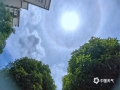 中国天气网广西站讯 今天（19日）中午，南宁市上空出现日晕景观，一圈巨大光环围绕在太阳四周，太阳就好像戴上了美瞳，十分壮观。（图文/卢威旭）