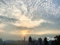 中国天气网 8月30日清晨广西又迎来晴朗的一天，日出时分，南宁、崇左等地天空铺满鱼鳞云，有的如一只巨大的凤凰展翅腾飞。（文/黄丽娜 图/陈设广）