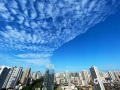 中国天气网广西站讯 今晨（10月10日）南宁市天气晴朗，清风佛面，天空出现了形似鱼鳞的白云，一排排一列列，我们称它为“透光高积云”，呈现出一半湛蓝一半白云的“一线天”美景，分界线整整齐齐，天空好似分成两半。“鱼鳞云”的出现一般预示着天气将转晴，并且未来两三天都是好天气的征兆。（文/曹钰佳 梁健 图/刘英轶）