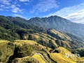 10月11日，桂林龙胜天气晴好，碧蓝的天空下，金坑梯田一层层金黄的水稻环绕在群山之间，构成了一幅壮美的风景画。（图/董彩玲 文/黎微微）​