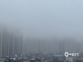 中国天气网广西站讯 1月12日，玉林城区被雨雾笼罩，玉林站最低能见度仅为191米，楼房在雨雾中若隐若现，仿若披上了一层轻纱。（图文/曾茂桂）