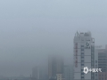1月12日，玉林城区被雨雾笼罩，玉林站最低能见度仅为191米，楼房在雨雾中若隐若现，仿若披上了一层轻纱。（图文/曾茂桂）