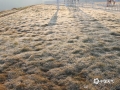 中国天气网讯 今天（30日）早晨广西气温低迷，07时全区大部气温均低于6℃，桂林的资源气温更是被冻在零下2.9℃，多地出现霜冻天气，霜粒如白糖般洒满草地。图为百色那坡国家气象站出现霜冻天气。（文/黄丽娜 图/农章）