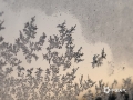 中国天气网广西站讯 1月29-31日，桂林市永福县连续多日早晨出现霜冻天气，室外的草木、停在户外的汽车都被晶莹的霜花所覆盖。（图文/蒋熙 莫建东）