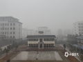 浓雾弥漫，笼着万物，似炊烟袅袅，四周景色便朦胧在这烟雾之中。2月2日清晨，来宾市忻城县出现大雾天气，能见度较低。