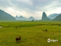 中国天气网讯 都说桂林山水甲天下，4月3日，有着“小桂林”之称的广西南宁市上林县大龙湖烟雨朦胧，广西的山水在雨雾缭绕的天气里绘出了富有写意的中国水墨山水画。（文/黄丽娜 图/曾海科）