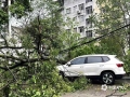 中国天气网广西站讯 4月4日凌晨，广西荔浦市出现强对流天气，3小时降雨量累计80.6毫米、最大风力23.9米/秒。强对流天气致使市区内多处低洼地带出现不同程度积水，不少大树被吹倒，多辆汽车遭大树砸中。（图/陈敏 文/李会玲）