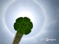 中国天气网广西站讯 4月30日，“五一”假期第二天中午12时左右，广西百色、桂林等市上空出现日晕，有市民用气球创意拍照。（图/蒋佳佳）