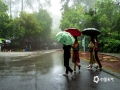 中國天氣網訊  近日，南寧降雨頻繁，各種顏色的傘在雨中“綻放” ，已成為這座城市最靚麗的風景線。（圖文/郁海蓉  老曾）