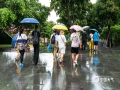 中國(guó)天氣網(wǎng)訊  近日，南寧降雨頻繁，各種顏色的傘在雨中“綻放” ，已成為這座城市最靚麗的風(fēng)景線。（圖文/郁海蓉  老曾）