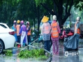 中國(guó)天氣網(wǎng)訊 18日，臺(tái)風(fēng)“泰利”的暴風(fēng)雨掃蕩后，北海市區(qū)道路隨處可見(jiàn)殘枝敗葉，雖然仍然下著雨，北海環(huán)衛(wèi)工人及時(shí)將路面清障，將吹倒的路擋扶起。（文/劉宇菲 圖/覃帥 劉宇菲 楊宇華）