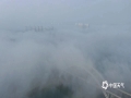 中国天气网讯  近日清晨，来宾出现大雾天气，楼宇、大桥等建筑在雾中若隐若现，宛如天空之城。（图/陈绍福 文/苏庆红）