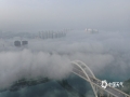 中国天气网讯  近日清晨，来宾出现大雾天气，楼宇、大桥等建筑在雾中若隐若现，宛如天空之城。（图/陈绍福 文/苏庆红）