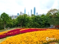 中国天气网讯 今天（12月4日）上午，广西南宁城区阴雨霏霏，气温较低，这样的天气虽然让人体感阴冷，但空气得到了净化，青秀山风景区绚丽的花儿点亮了阴霾，让人眼前一亮。（图文/曾海科）