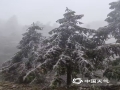 中国天气网讯 受强寒潮影响，12月19日桂林市临桂区北部高寒山区气温低迷，山上雾气笼罩，路上植物被速冻成了晶莹剔透的冰挂。（图文/易秋丽）