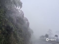 中国天气网讯 受强寒潮影响，12月19日桂林市临桂区北部高寒山区气温低迷，山上雾气笼罩，路上植物被速冻成了晶莹剔透的冰挂。（图文/易秋丽）